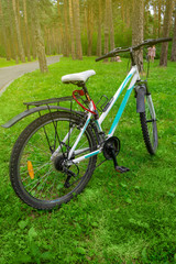 Fototapeta na wymiar Female bike on the grass in the forest. Picnic in nature. Cycling in the forest or park.