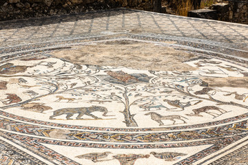 Mosaic of animals at Orpheus's chamber in the Roman excavation of Volubiis