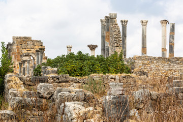Temple of Saturn in Volubiiis, Morocco