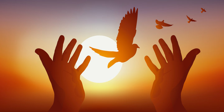 Concept de la paix et de liberté avec deux mains tendues, relâchant un vol de colombes dans le ciel au soleil couchant