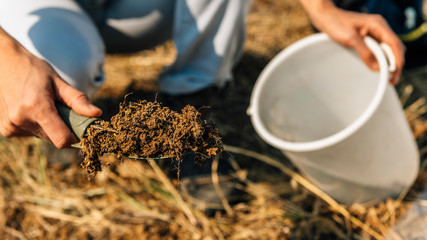 Soil Fertility Analysis. Female Agronomist Taking Soil Samples