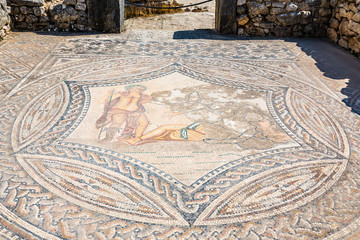 Mosaic of Bacchus