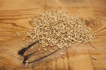 Raw oat grains, low-calorie ingredient for delicious healthy breakfast on a wooden background, copy space. Nutritious whole grains, wholesome goodness and great tasting variety.