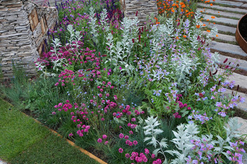 Flower border in a garden with Habitat Walls providing home for garden creatures and insects