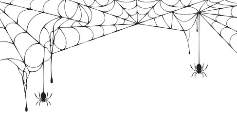 Halloween spiderweb border with hanging spiders. Vector isolated spooky background for october night party and invitations. - obrazy, fototapety, plakaty