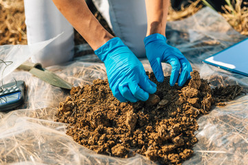 Organic Soil Certification Inspector Taking Sample