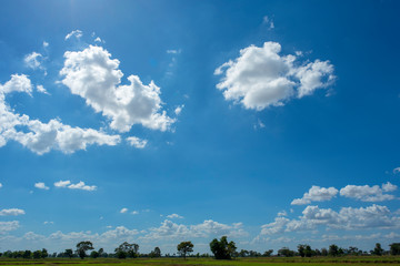 Obraz na płótnie Canvas Blue sky background with green fields and white clouds.