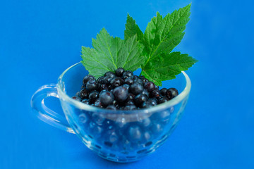  Blueberries in a transparent bowl on a blue background.