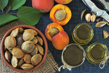 Apricot kernel oil. Apricots, apricot leaves and bones. The concept of extraction of oil from...