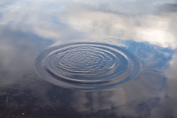 Fototapeta na wymiar circles on the water surface