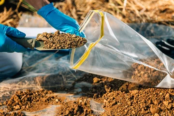 Foto op Canvas Soil Testing. Agronomy Inspector Taking Soil Sample © Microgen