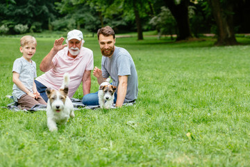 Grandfather, father and son sits on the green grass,two dogs runs at camera at summer park or garden on background. Family Vacation. Generational connection.Pet, love friendship and people concept