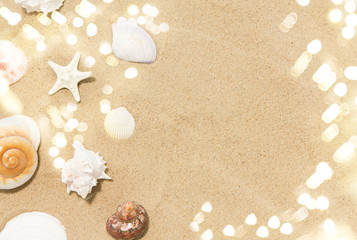 vacation and summer holidays concept - seashells on beach sand