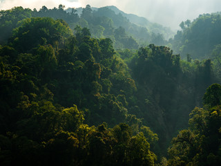 Jungle View on Hazy Light, Ridges and Layers of Forest Backlit