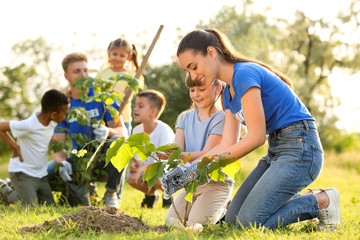 Kids planting trees with volunteers in park