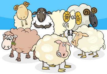 sheep and rams group cartoon illustration