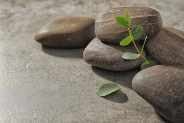 Spa stones with eucalyptus on color background. Space for text