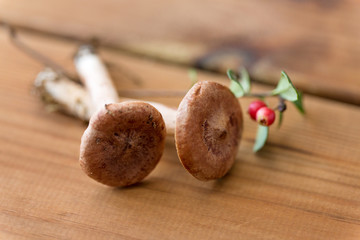 nature and environment concept - lactarius rufus mushrooms and cowberry on wooden background