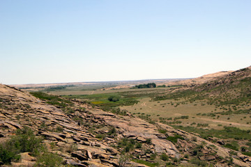 Amazing vegetation in rocky terrain on the way to the mountains