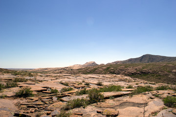 Amazing vegetation in rocky terrain on the way to the mountains