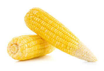 Fresh corn isolated on white background