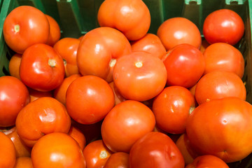 delicious ripe tomatoes on the supermarket counter