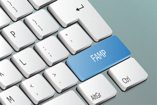 FAMP written on the keyboard button