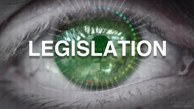 Close up of an eye focusing on a Legislation concept on a futuristic screen.