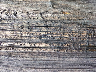 texture of old shabby rustic wooden fence made of planks, with rusty nails, grunge background