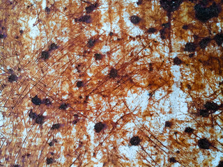 Texture of old shabby rusty metal surface.