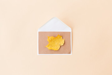 nature, season and mail concept - dry fallen autumn maple leaf with envelope on beige background