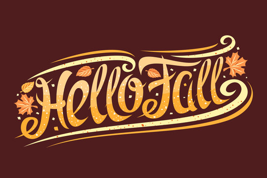 Vector greeting card for Fall season, curly calligraphic font with autumn leaves and decorative elements, invitation with swirly trendy lettering for words hello fall on dark brown background.