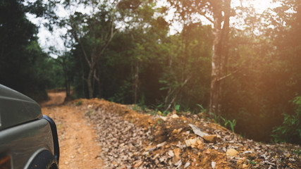 Off-road vehicles drive on the dirt road in the forest with warm light.