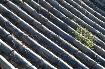 Korean traditional tiled roof .