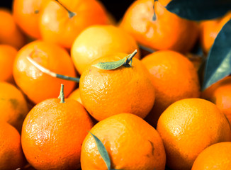 Closeup of ripe mandarins