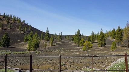 rough volcanic landscpae on teide volcano