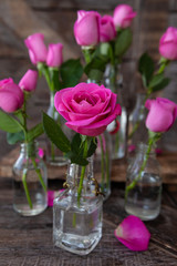 Pinke Rosen in kleinen Flaschen