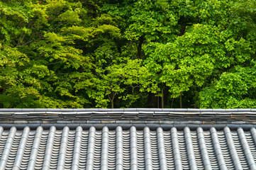 Korean traditional tiled roof with forest.