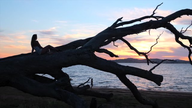 Tracking, slow motion shot of a woman sitting on a fallen tree, while others walk on the beach and looki at the sunset, at lake Huma, on a sunny evening, at Hume Reservoir, New South Wales, Australia