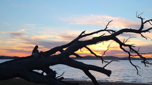 Tracking, slow motion shot of a woman sitting on a fallen tree and looking at the sunset, on a beach, at lake Huma, on a sunny evening, at Hume Reservoir, New South Wales, Australia