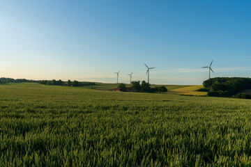 Fototapeta na wymiar Windkraftanlage mit Getreidefeld bei Sonnenuntergang