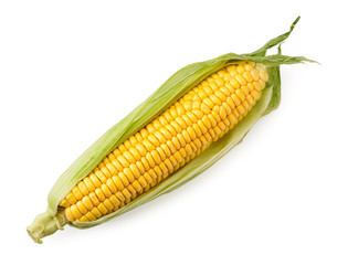 Ripe corn cob in leaves on a white, isolated. The view of the top.