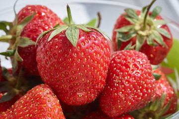 macrophotography of fresh tasty strawberries 