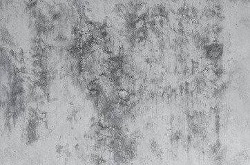 Fototapeta premium gray concrete background texture clean stucco fine grain cement wall clear and smooth white polished grunge interior indoor.