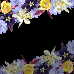 Beautiful floral background of aquilegia and chicory. Isolated