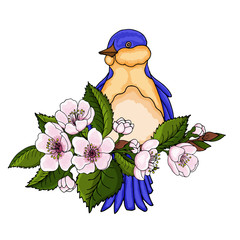 Spring bird sits on cherry blossom branches isolated on white background.