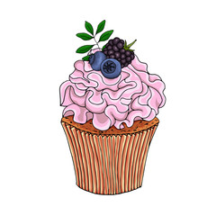 Illustration of a cupcake decorate with pink cream and blueberries, blackberry, isolated on a white background.