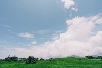 Landscape of Ishigaki Island