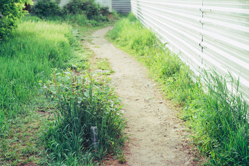 Plastic bottle in grass. Garbage among plants. Toxic plastic into nature everywhere. Rubbish in...