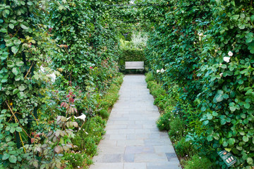 Fototapeta premium イングリッシュガーデン、小道、ベンチ、アーチ